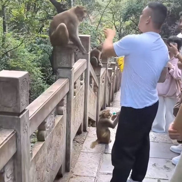 Một du khách nam mặc áo đen đang đưa tay về phía một con khỉ ngồi trên lan can đá.