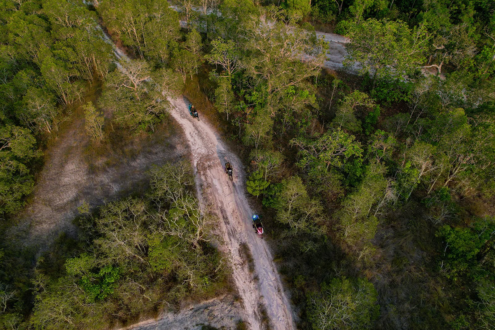 Phu Quoc nationalpark organiserar 3 555 patruller för att förvalta och skydda skogar.