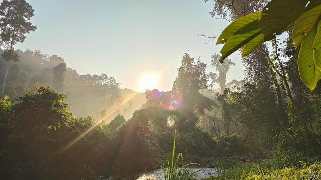 Sống đẹp giữa đại ngàn Pù Mát: Hành trình của chàng kiểm lâm trẻ Hoàng Nghĩa Công - Ảnh 5. Sống đẹp giữa đại ngàn Pù Mát: Hành trình của chàng kiểm lâm trẻ Hoàng Nghĩa Công - Ảnh 5.