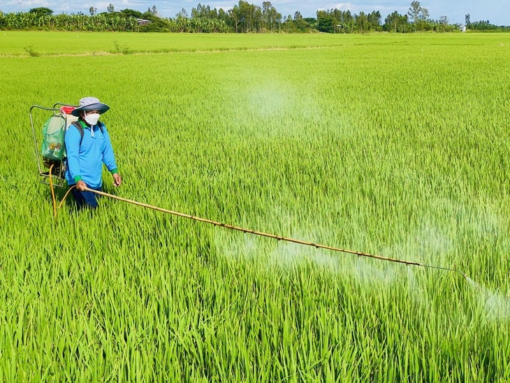 thuốc trừ sâu - Ảnh 1.