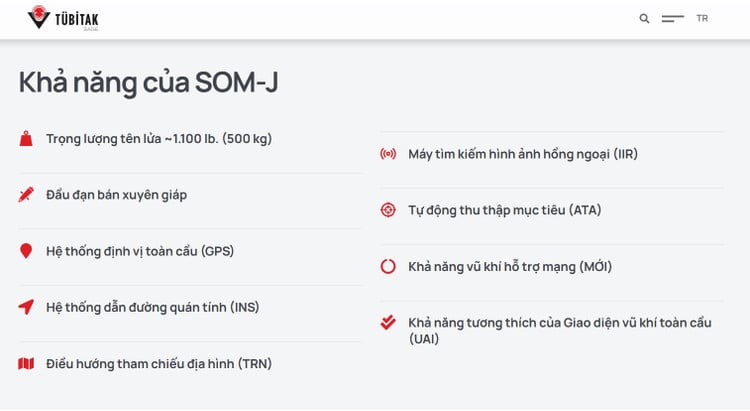 som-som.jpg