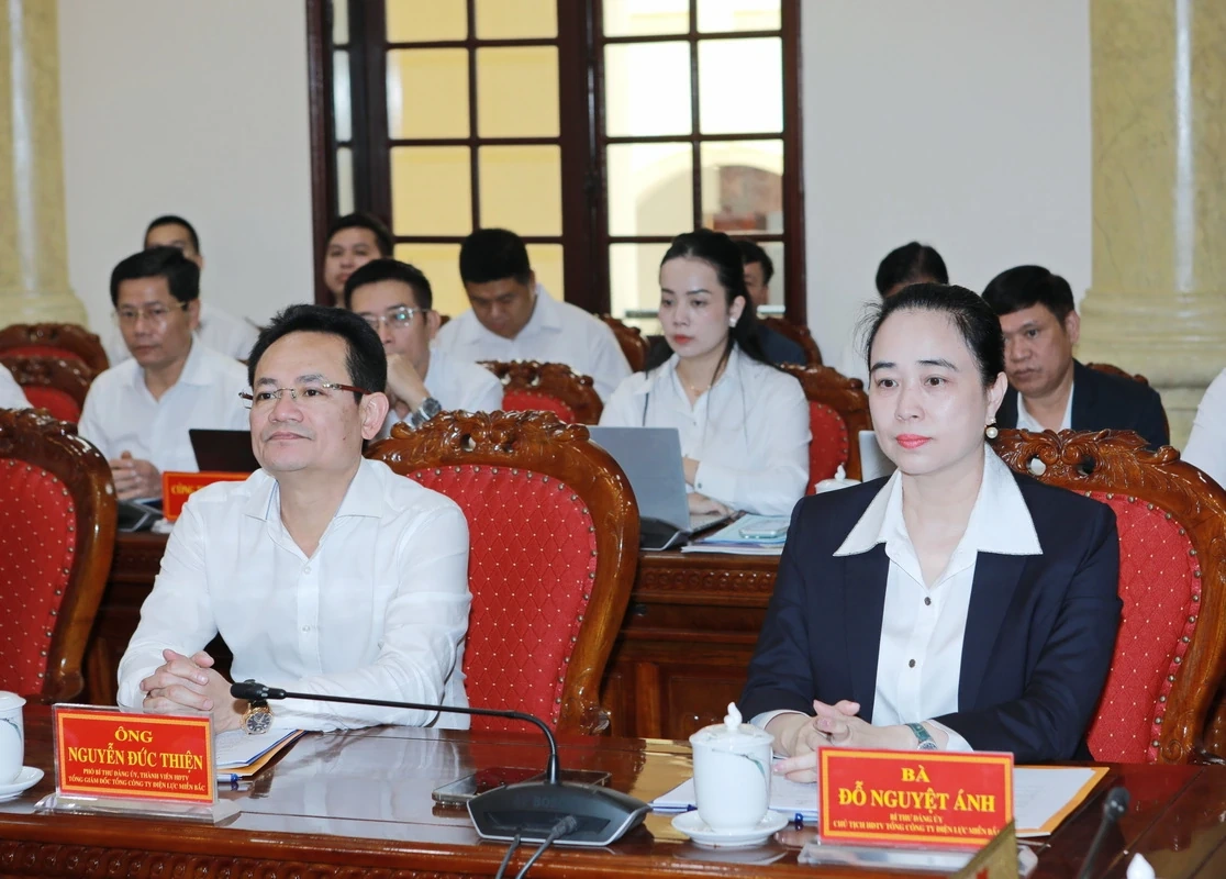 A Thanh Hoa Tartományi Párt Állandó Bizottsága együttműködik a Northern Power Corporationnel