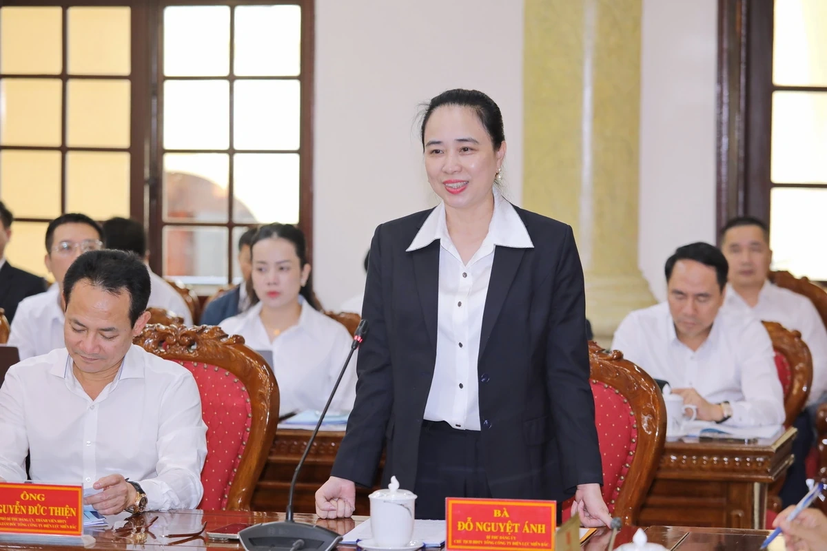 A Thanh Hoa Tartományi Párt Állandó Bizottsága együttműködik a Northern Power Corporationnel