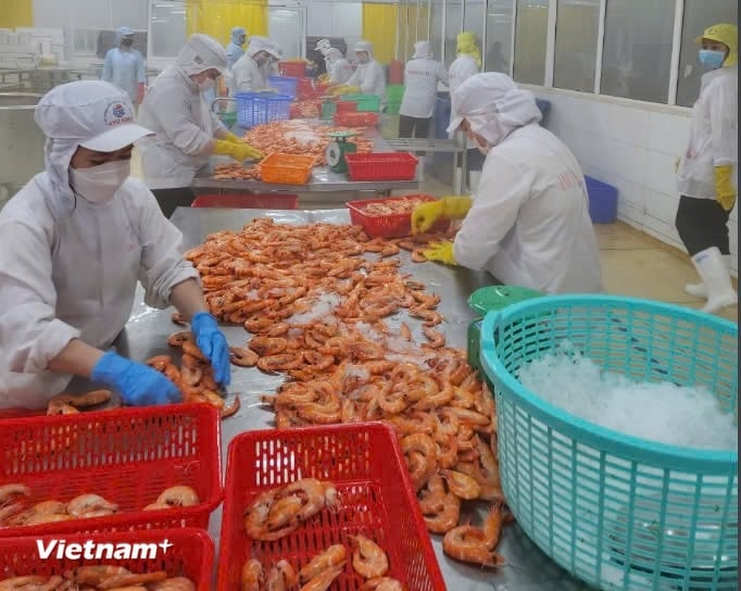 HSBC-experter säger att Vietnams ekonomi växer snabbast i ASEAN. (Foto: Vietnam+)