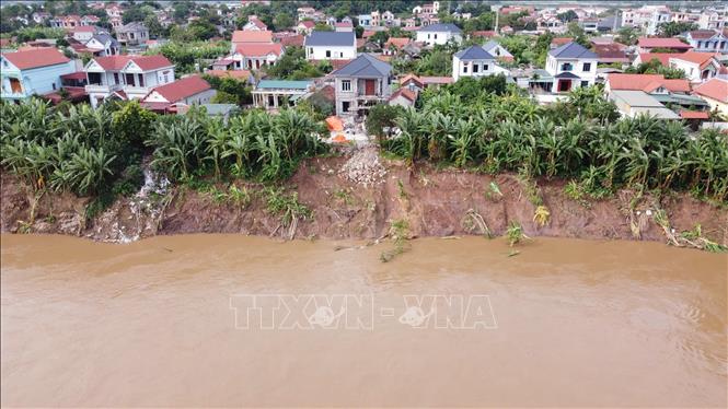 تعليق الصورة