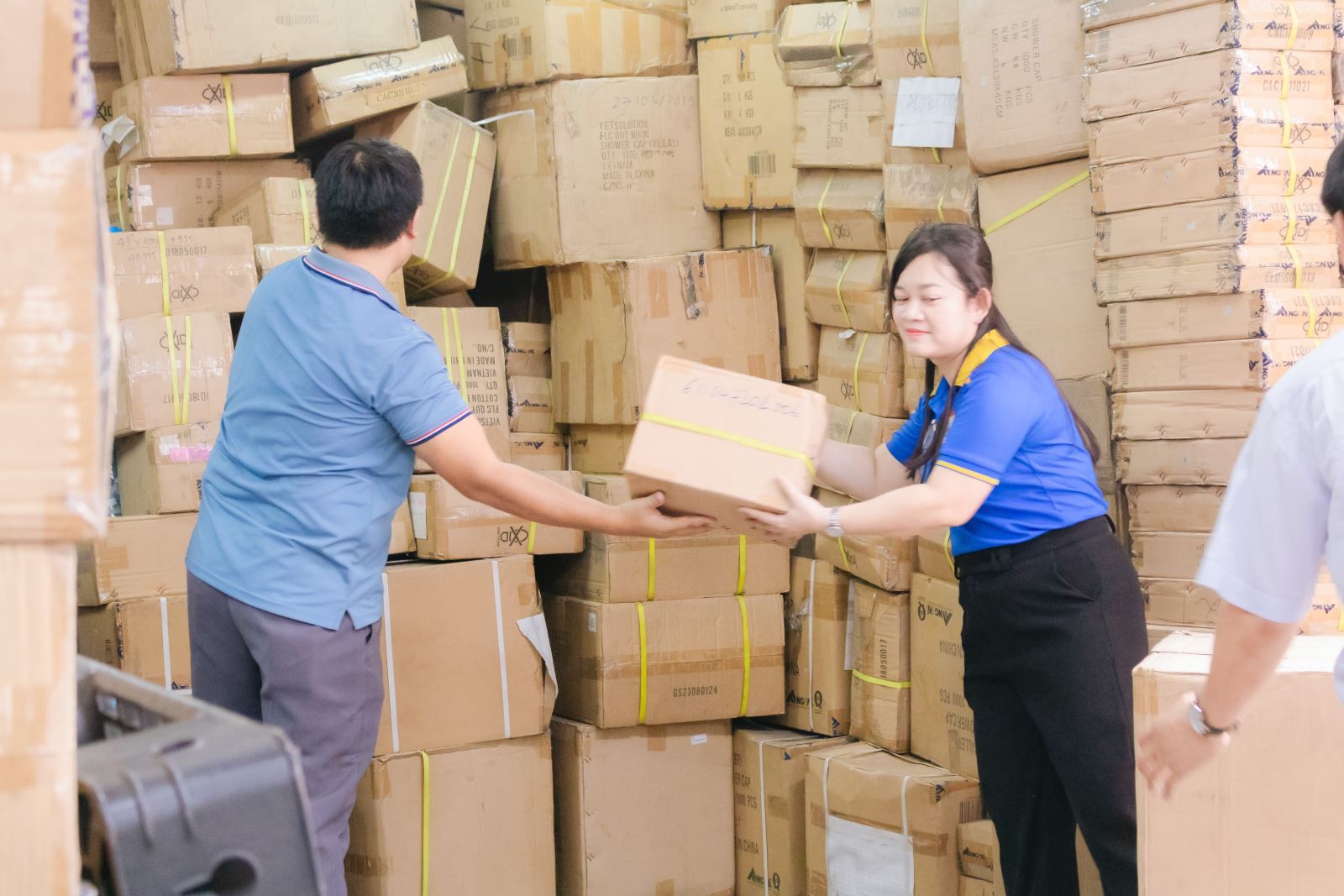 चित्र परिचय