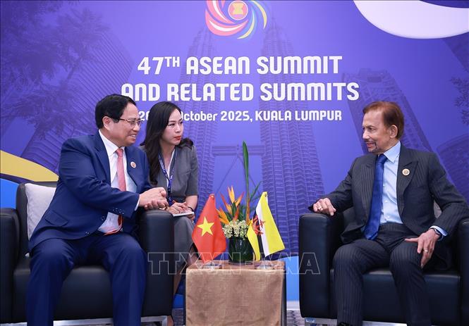 تعليق الصورة