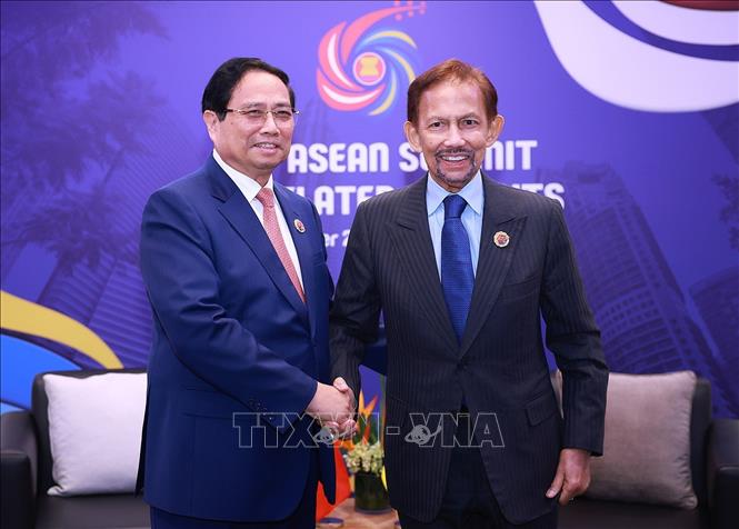 تعليق الصورة