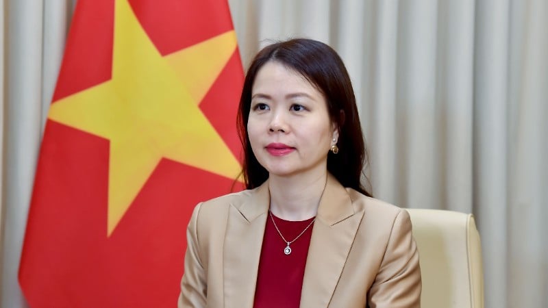 Thứ trưởng Ngoại giao Nguyễn Minh Hằng. (Ảnh: Bộ Ngoại giao)