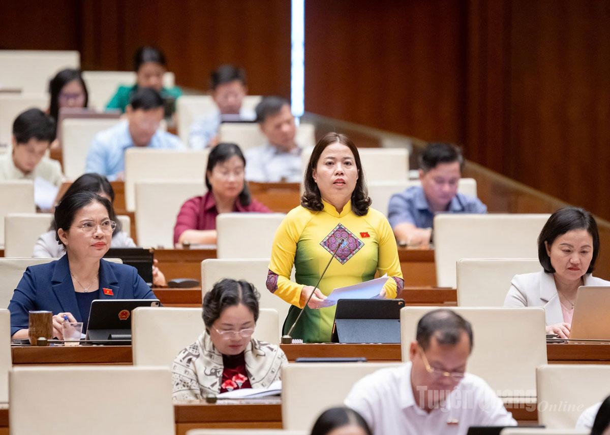 O chefe da delegação da Assembleia Nacional da província, Ly Thi Lan, discursou no debate.