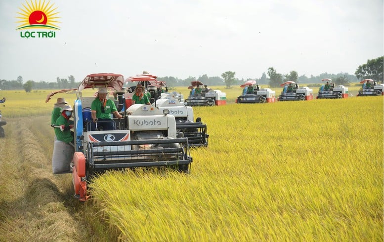 Loc Troi urychluje inovace a vytváří zelené zemědělské hodnotové řetězce z Mini Expo 2025 - Foto 1. Lộc Trời tăng tốc đổi mới, kiến tạo chuỗi giá trị nông nghiệp xanh từ Mini Expo 2025- Ảnh 1.