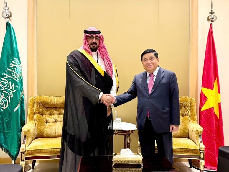 ویتنام اور سعودی عرب کے درمیان اقتصادی تعاون پر توجہ دیں اور اسے فروغ دیں - تصویر 1۔ Quan tâm, phát triển hợp tác kinh tế Việt Nam – Saudi Arabia- Ảnh 1.