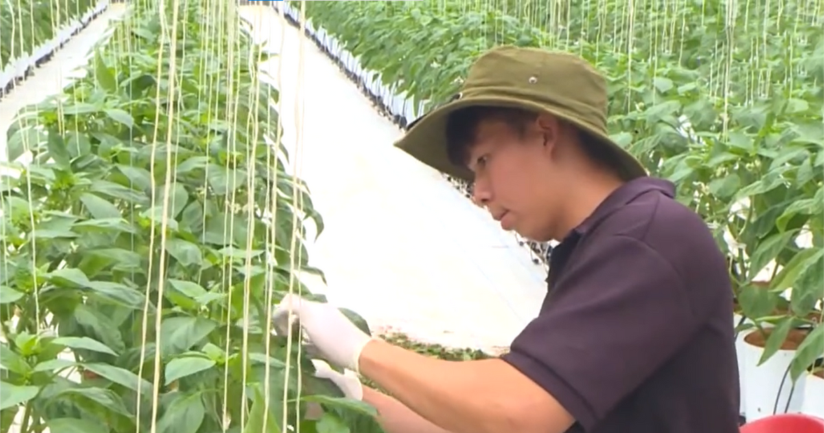 Đồng hành cùng nông dân phát triển nông nghiệp nông thôn bền vững