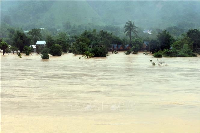 ছবির ক্যাপশন
