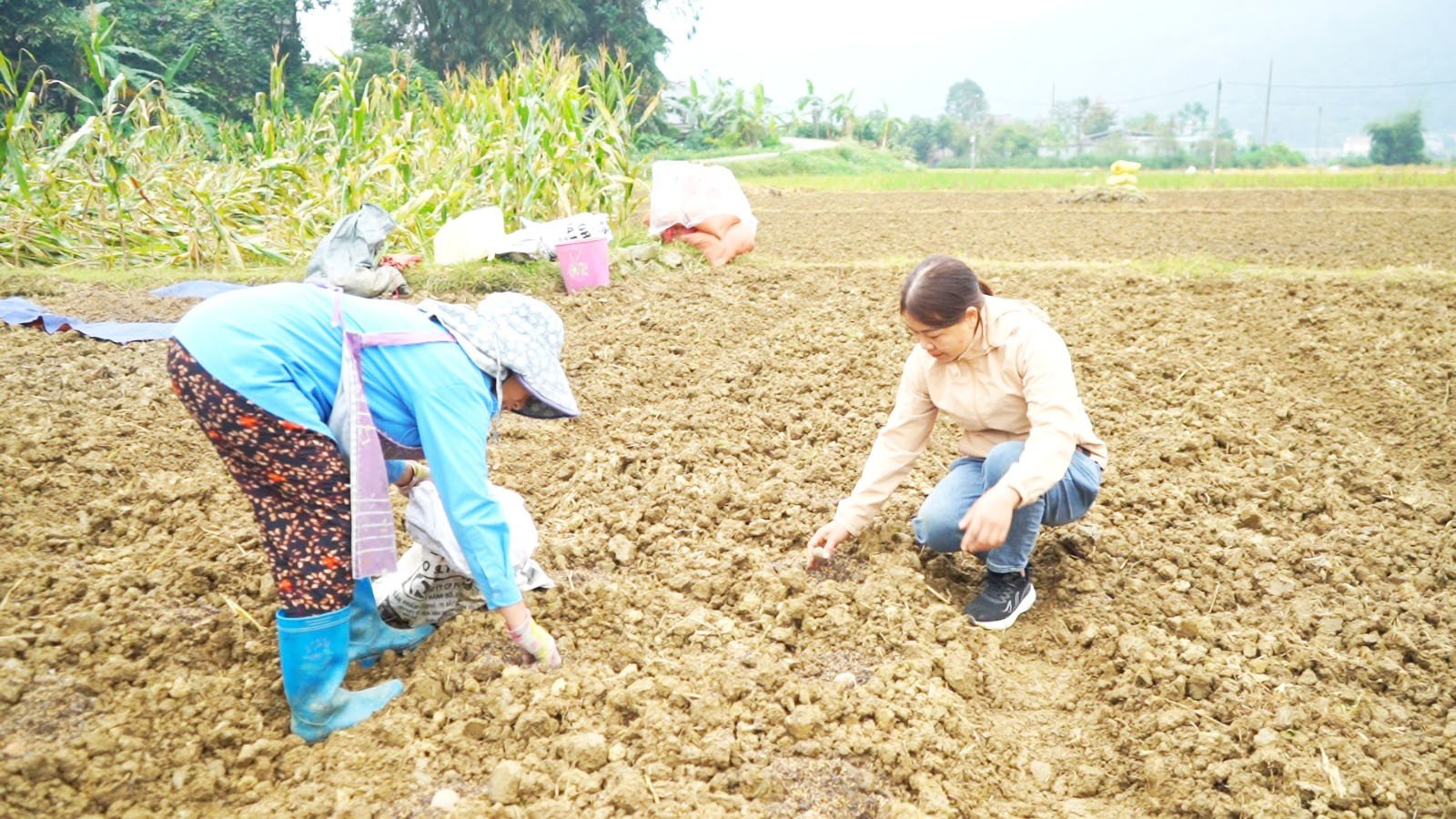 Landbruksdepartementets anbefalinger – veiledning for barn om potetdyrkingsteknikker 1-2307.jpg