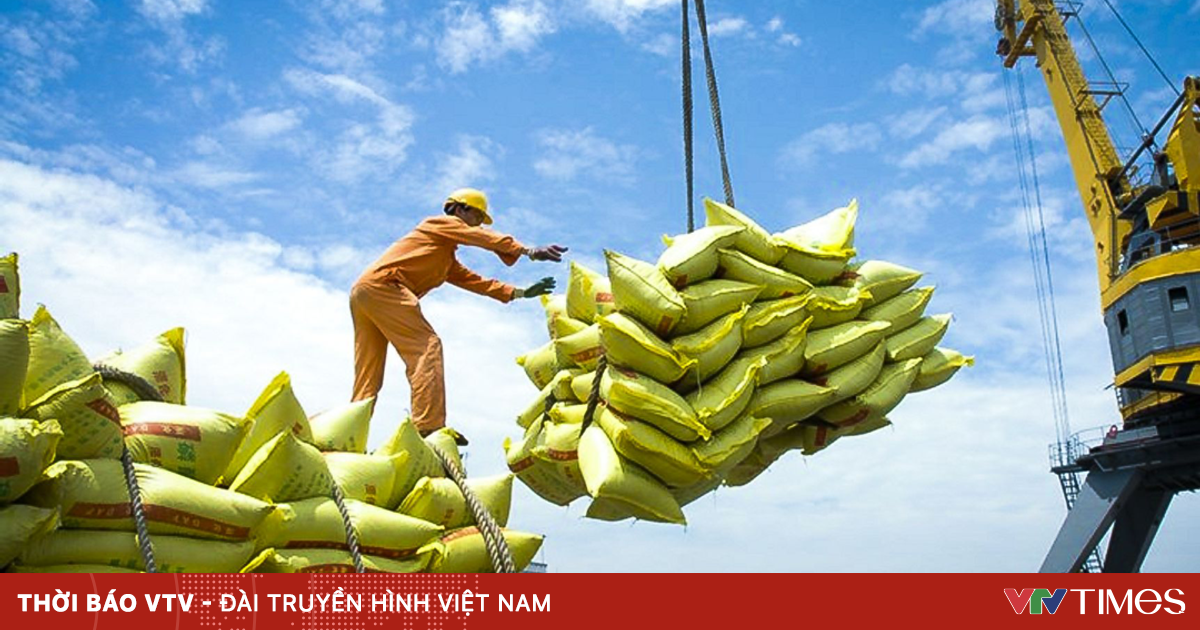 Việt Nam tiếp tục trong nhóm xuất khẩu gạo hàng đầu thế giới