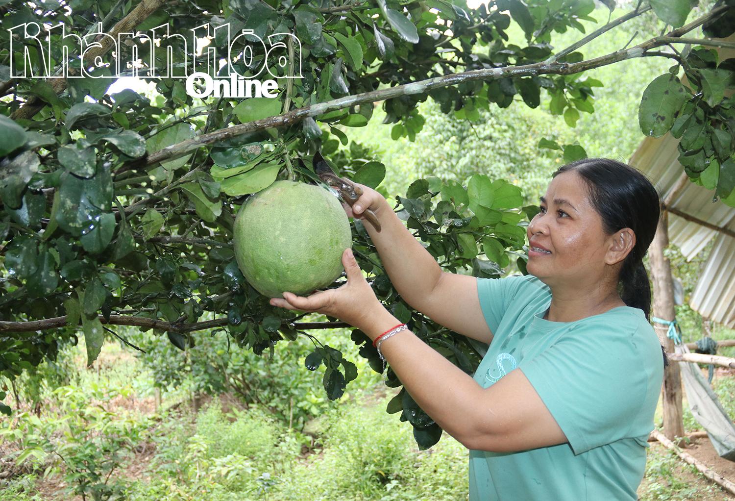 Ibu Cao Thi My Cu aktif bekerja di bagian produksi untuk meningkatkan taraf hidupnya.