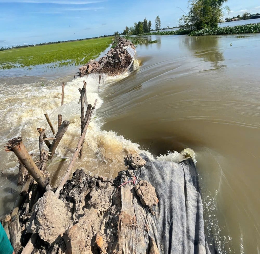 Tây Ninh: Gần 830ha lúa và cây ăn trái bị thiệt hại do lũ