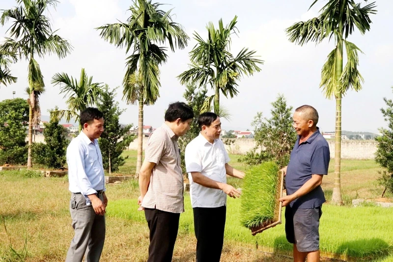 Dinh Tan identifică în mod clar potențialul de dezvoltare