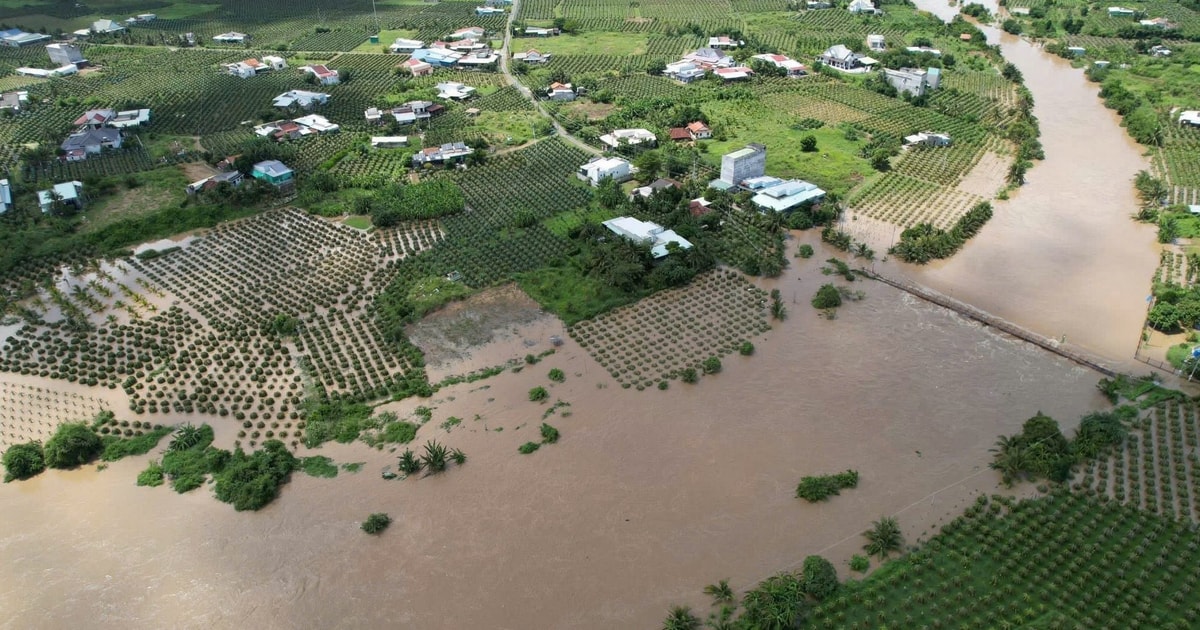 Công an Lâm Đồng ứng phó khẩn cấp trong mưa lũ