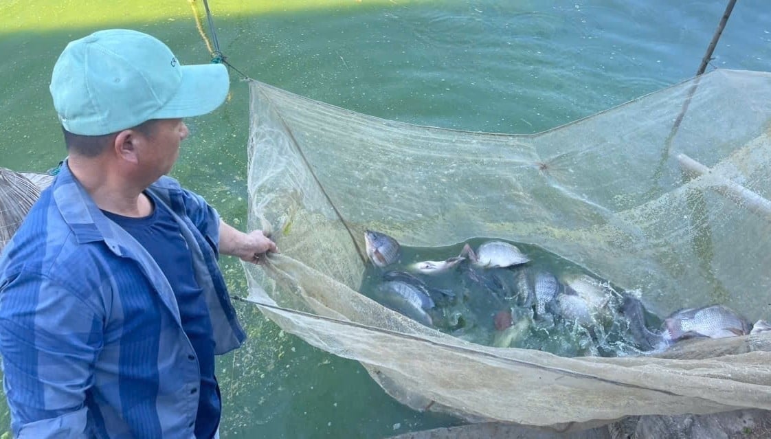 PGSTS NGUYEN-DUY-THINH-CA-RO-NO-SAFETY-IF-CHOOSE-A-ROOT-SOURCE-135553_706-141611.jpg