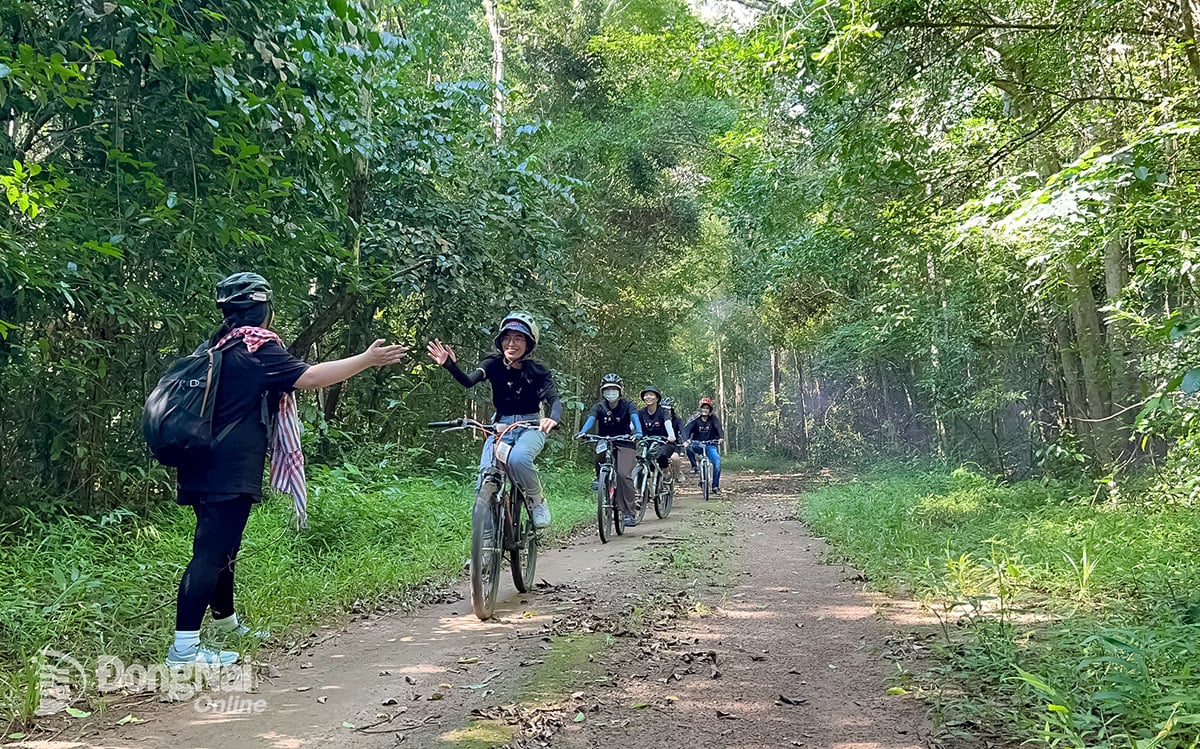 Cảnh đẹp rừng núi tại khu vực Thác Mai - Bàu Nước Sôi.