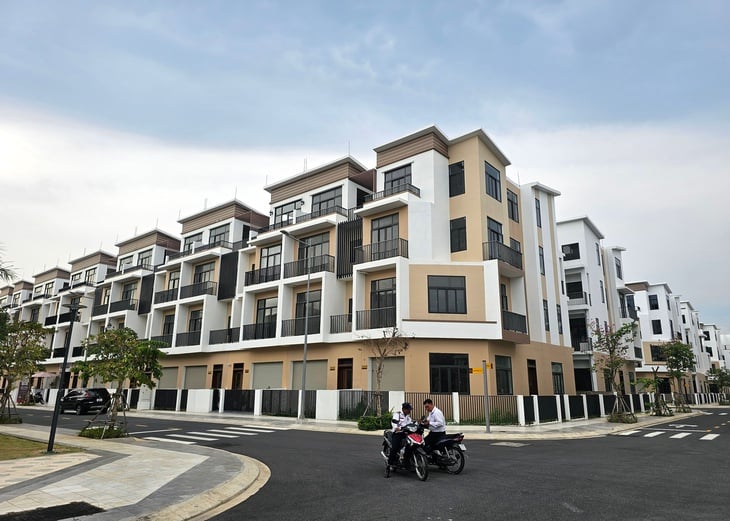 tin tức - Ảnh 6.