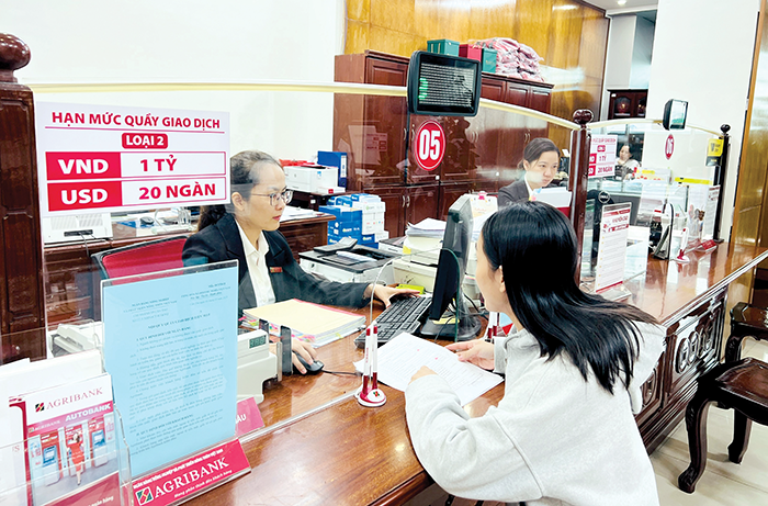 Implementera lösningar för att öka kredittillväxten och styra kapital till prioriterade områden