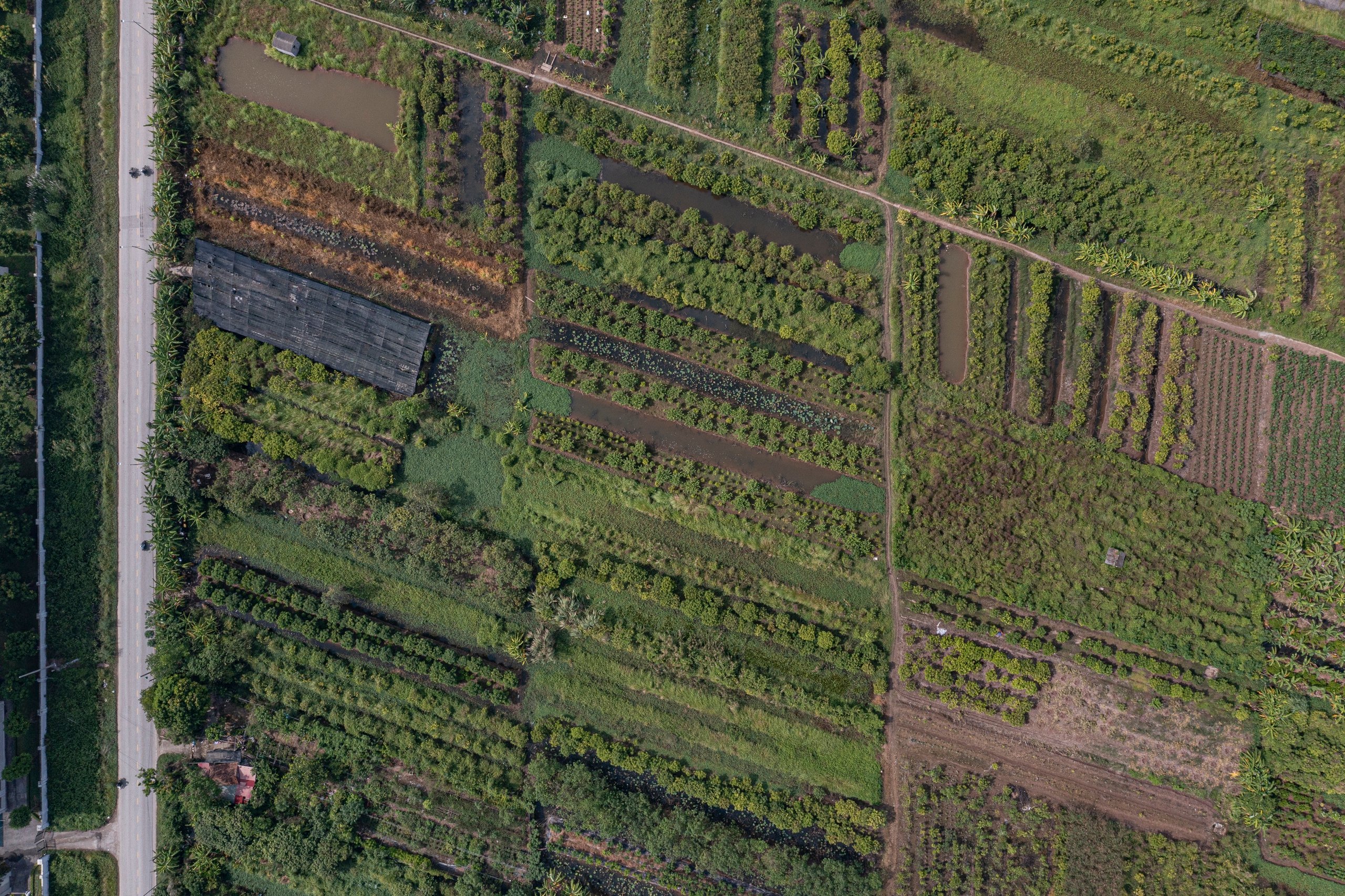 Hình ảnh nơi sắp xây sân vận động lớn nhất Việt Nam: Công trình thể thao tầm cỡ thế giới- Ảnh 8.