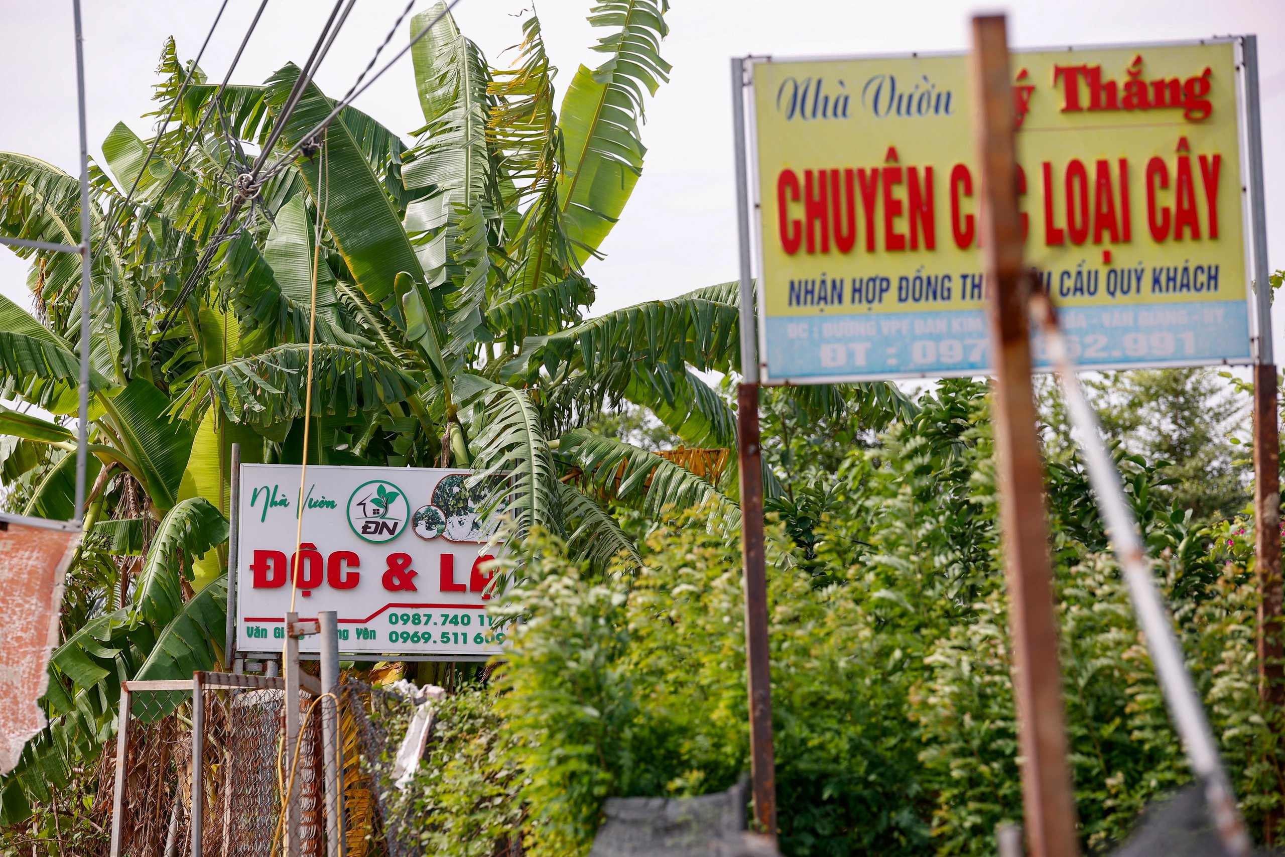 Hình ảnh nơi sắp xây sân vận động lớn nhất Việt Nam: Công trình thể thao tầm cỡ thế giới- Ảnh 9.