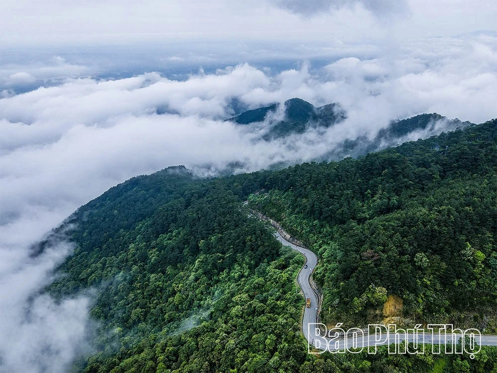 Biển mây Tam Đảo: Khoảnh khắc chạm vào kỳ ảo