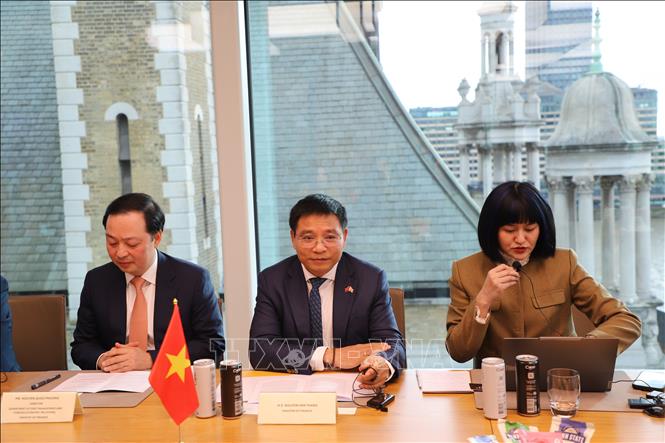 تعليق الصورة