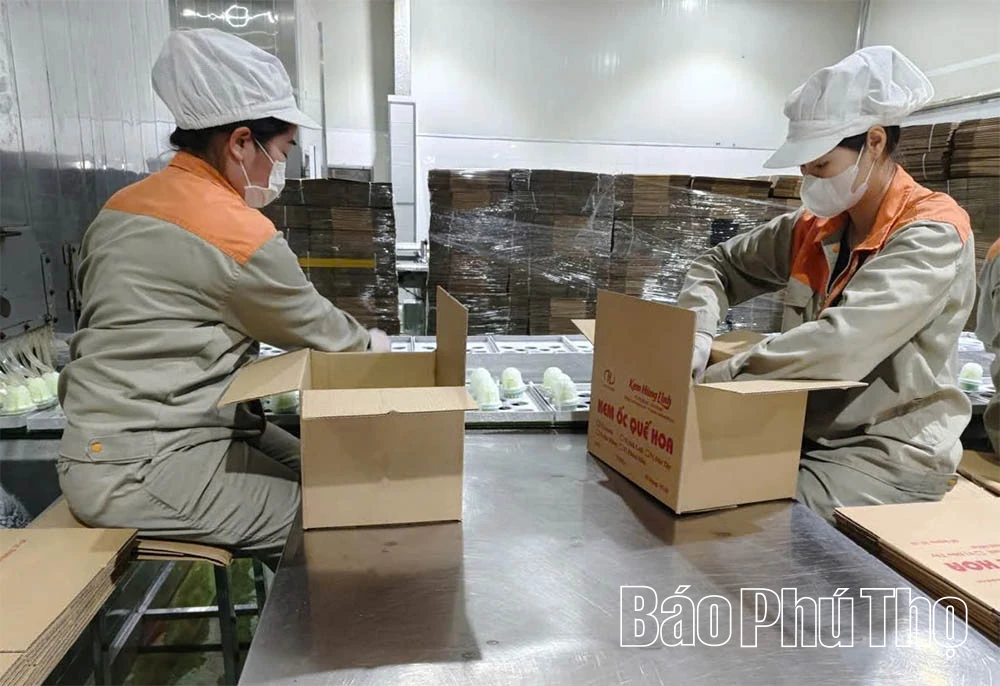 Lien Son ប្រើប្រាស់ធនធានប្រកបដោយប្រសិទ្ធភាព ជំរុញការអភិវឌ្ឍន៍ឧស្សាហកម្ម និងសិប្បកម្ម