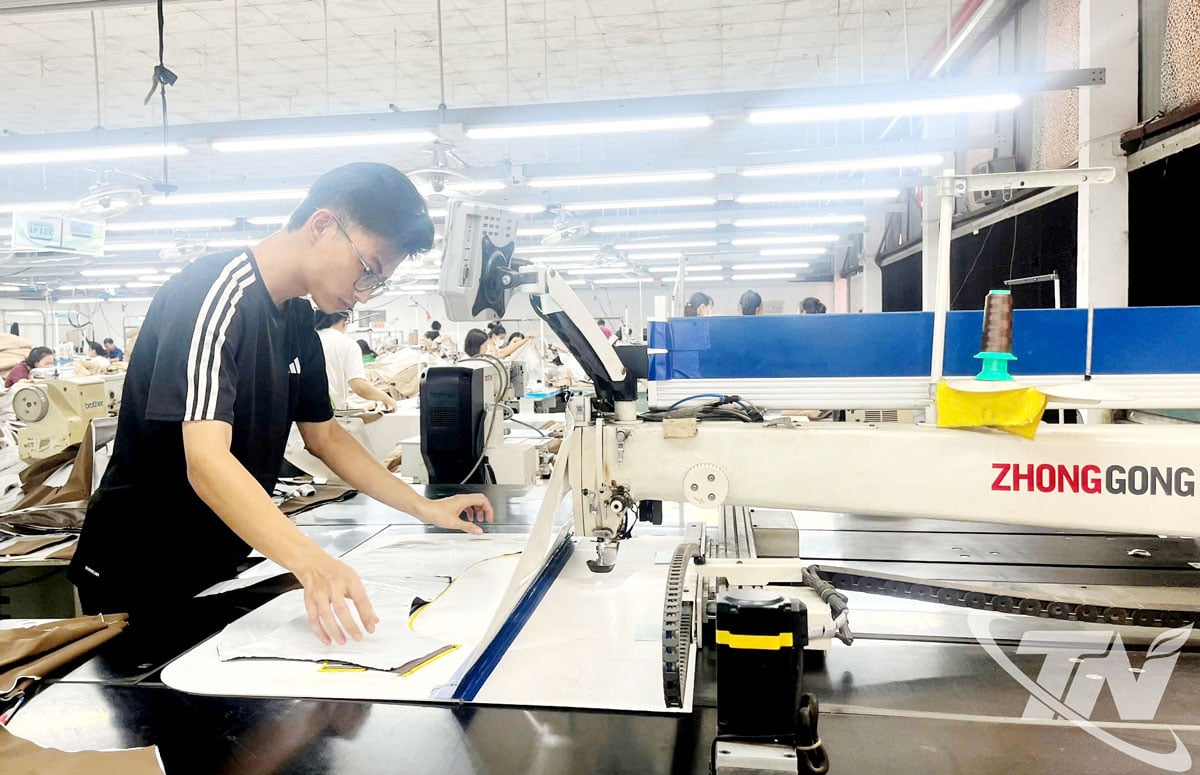 ក្រុមហ៊ុន VietCap Investment and Trading Joint Stock Company ប្រតិបត្តិការប្រកបដោយសមត្ថភាពពេញលេញ ដើម្បីបំពេញការបញ្ជាទិញសម្លៀកបំពាក់នាំចេញទៅកាន់ប្រទេសជប៉ុន។