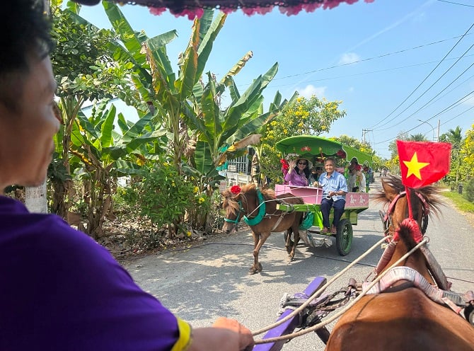 +Fotografie 1: Turisté se projíždějí koňským spřežením a obdivují krásnou scenérii ostrůvku Thoi Son. +ảnh 1: Du khách trải nghiệm đi xe ngựa ngắm cảnh đẹp ở cù lao Thới Sơn.