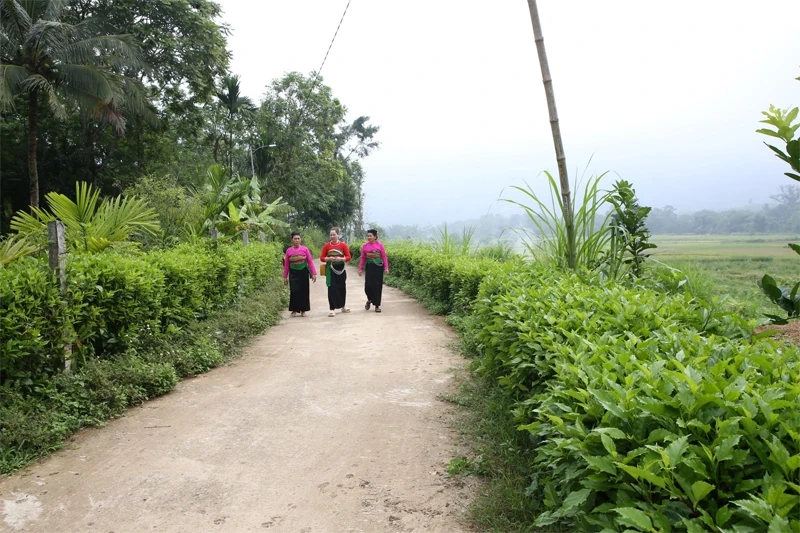Yeni kırsal kalkınmada