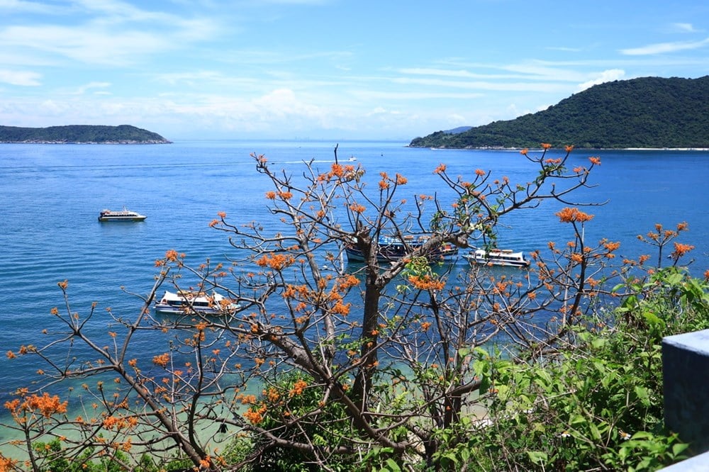 Chuyện giữ nghề, giữ đảo của người Cù Lao Chàm - ảnh 1