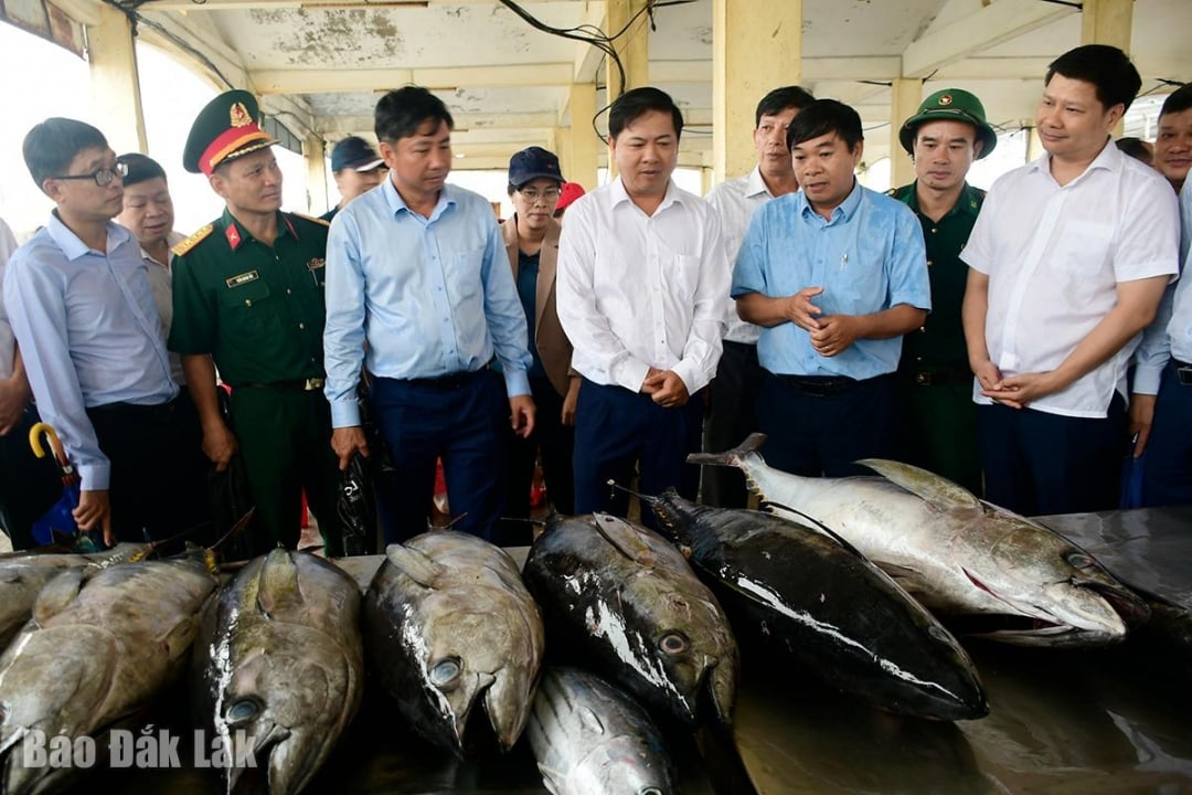 Provinční tajemník strany Luong Nguyen Minh Triet a jeho kolegové z pracovní delegace provedli inspekci rybářského přístavu Dong Tac (okres Phu Yen).