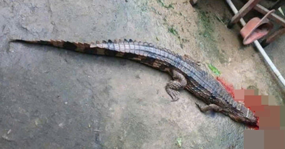 z7166555477207_a77642c58c6799b085fbda0507fbf289 (1).jpg