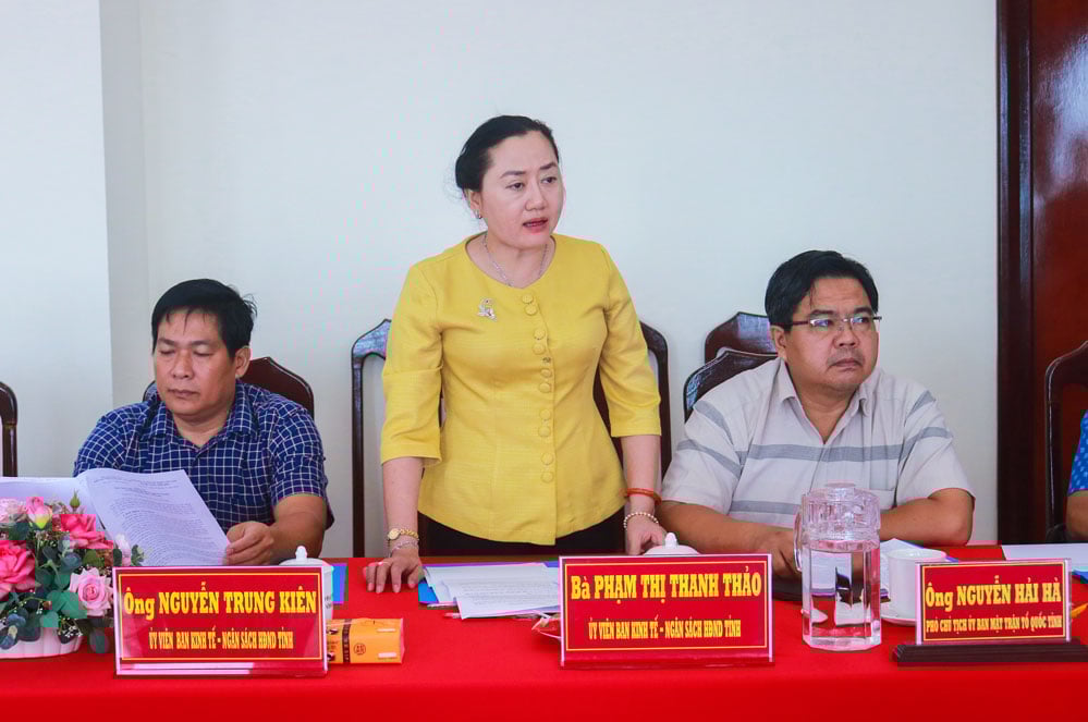 Membrii echipei de sondaj au discutat o serie de probleme legate de situația veniturilor și cheltuielilor bugetare.