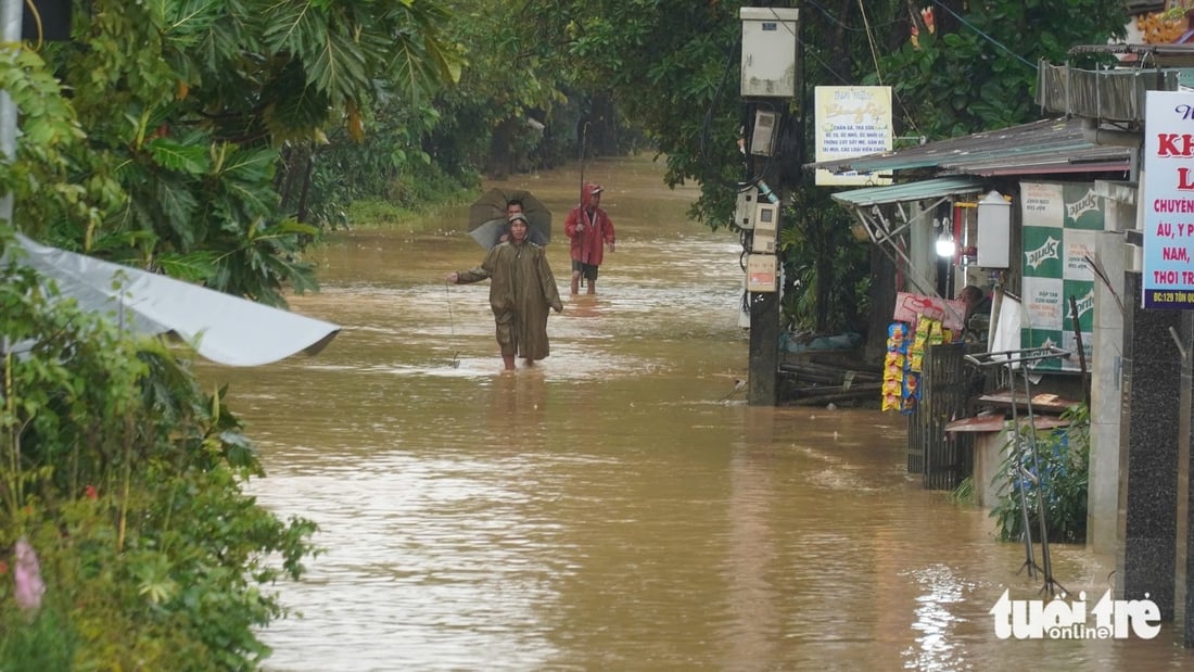 cứu trợ - Ảnh 8.