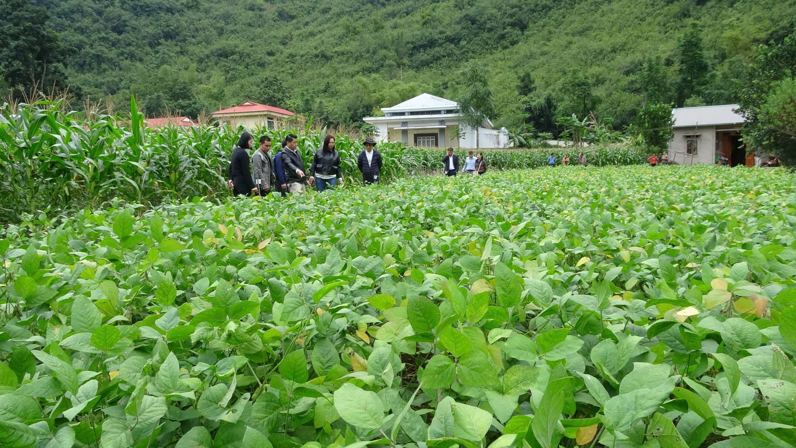 Eu acredito em você