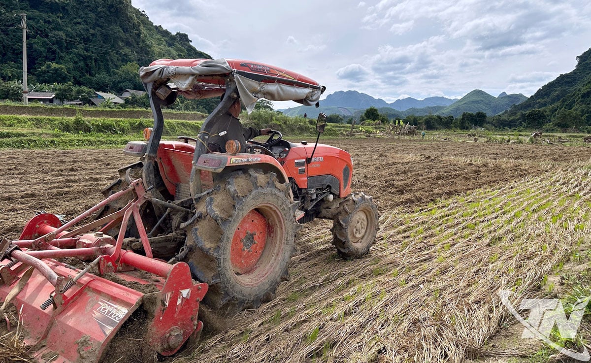Жители коммуны Чо Мой срочно подготавливают землю, готовясь к посеву озимых культур.
