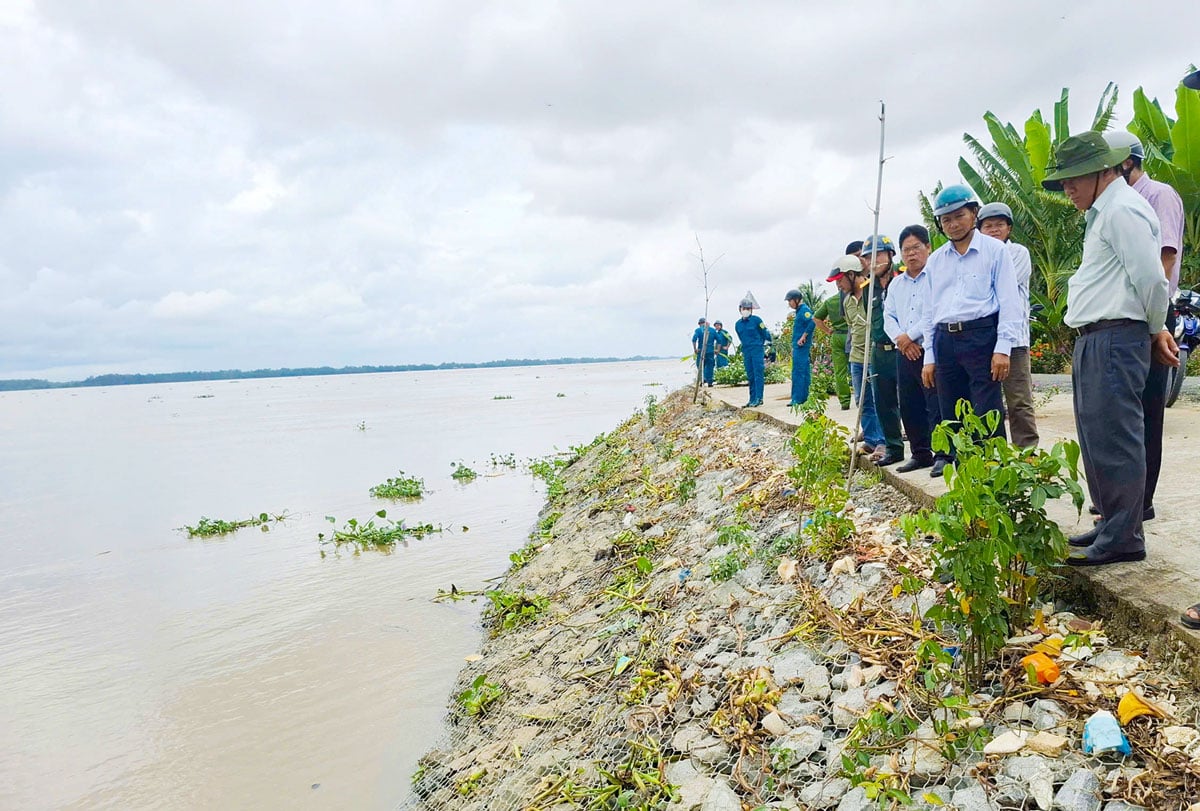 Pemimpin wilayah memeriksa benteng bertetulang di sepanjang Sungai Hau.