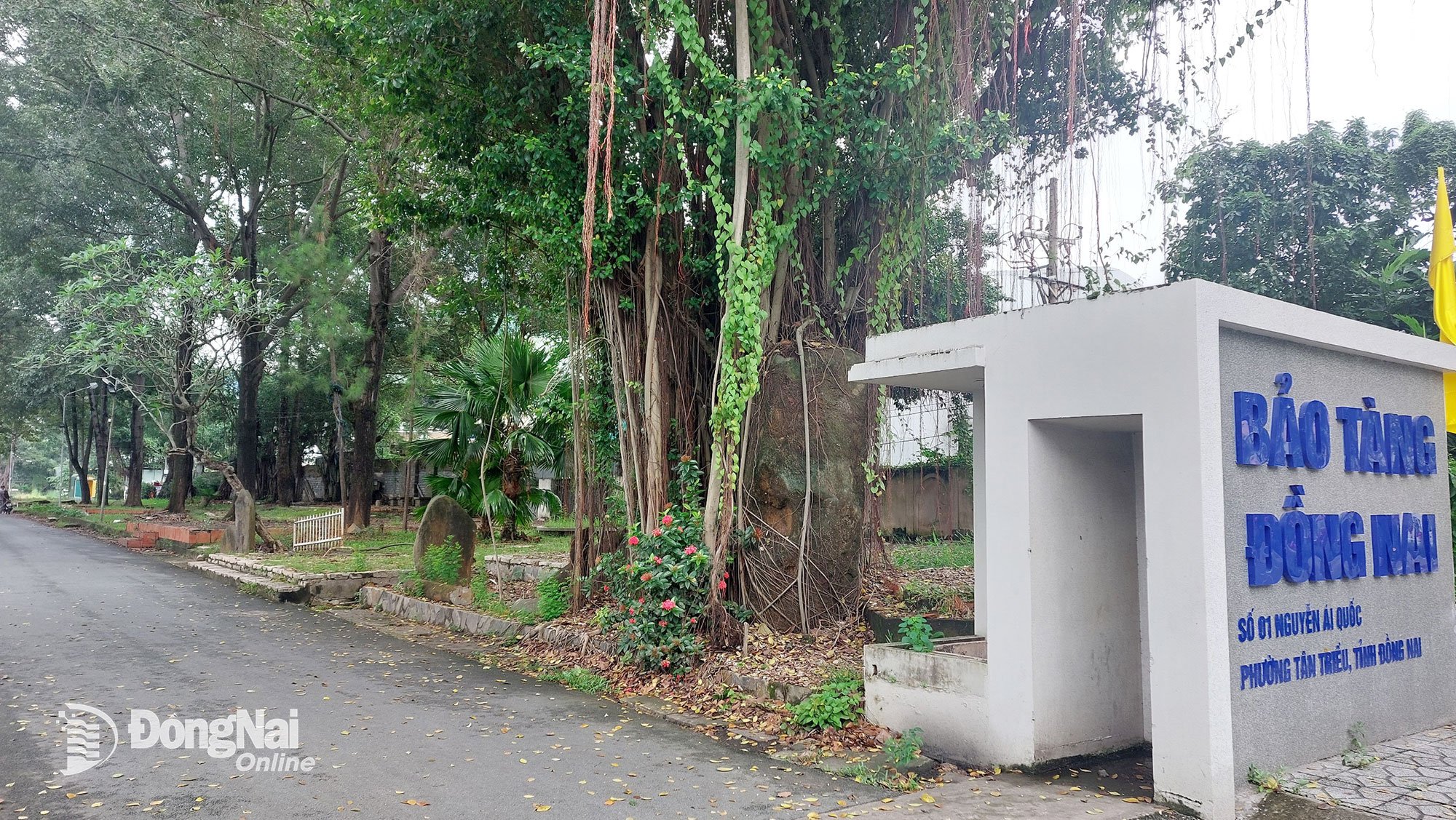 Localização proposta para a construção do Projeto Espaço Criativo para Artistas de Dong Nai. Foto: My Ny