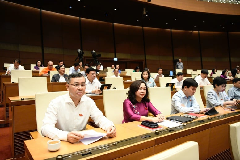 ĐBQH kiến nghị hoàn thiện chính quyền địa phương 2 cấp, cải thiện tiền lương, thu nhập cán bộ- Ảnh 3.