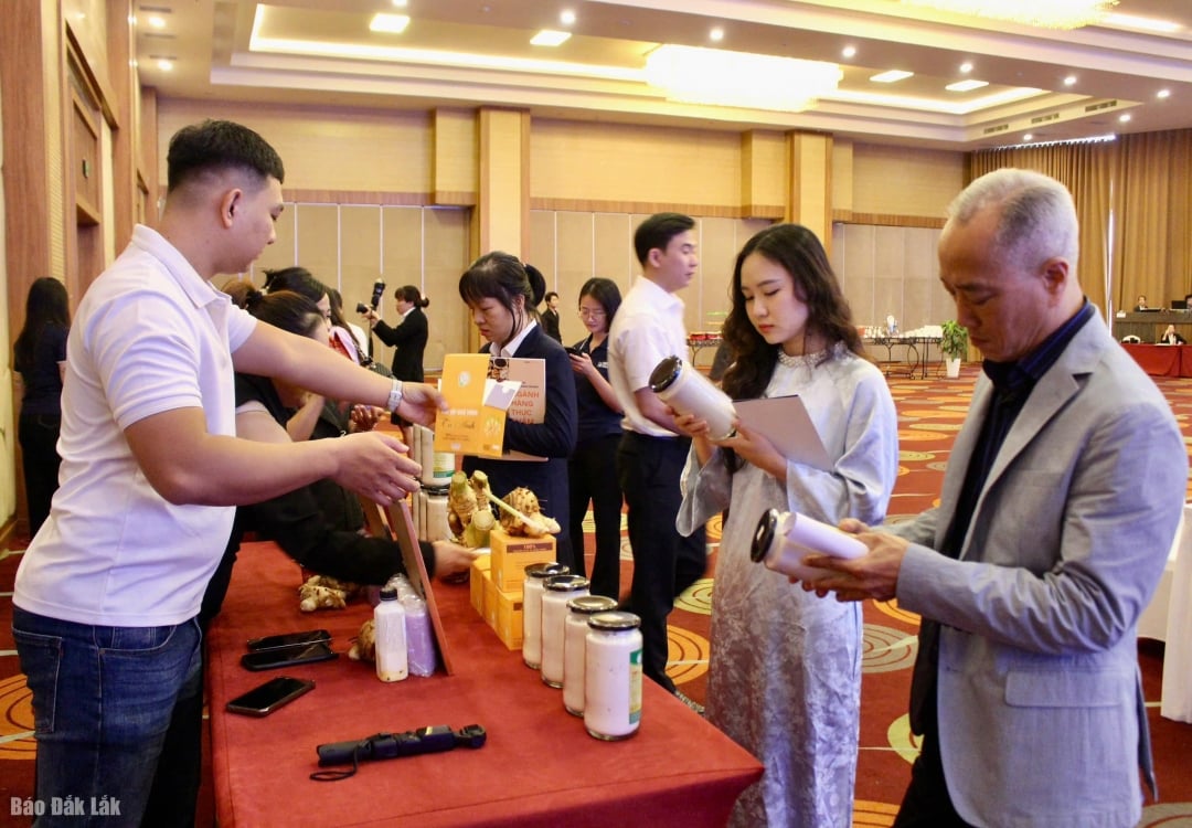 কর্মশালায় ই-কমার্সের মাধ্যমে রপ্তানি সম্ভাবনাময় প্রদেশের অনেক পণ্য প্রদর্শিত হয়েছিল, যা ব্যবসা এবং অংশীদারদের দৃষ্টি আকর্ষণ করেছিল।