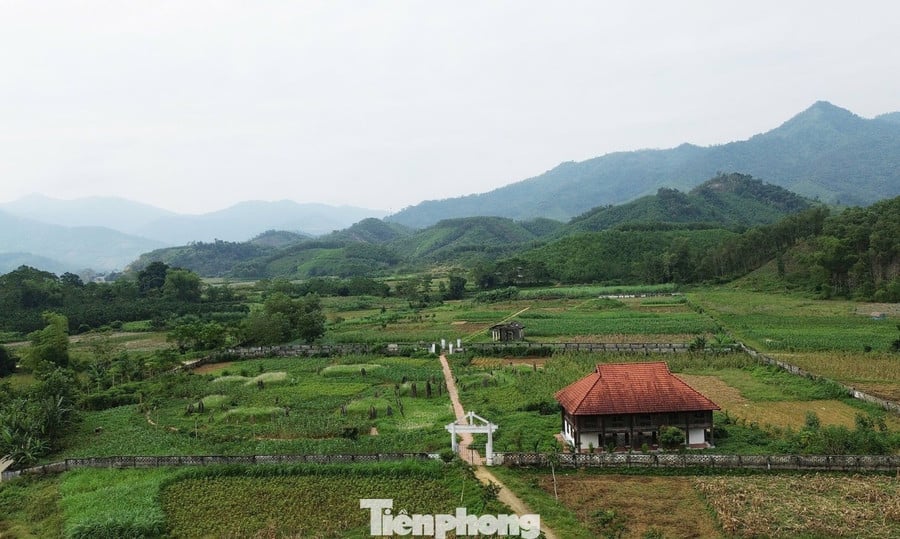 ໃນຊຸມມື້ສຸດທ້າຍຂອງເດືອນຕຸລາ, ໃນອາກາດທີ່ເຢັນສະບາຍ, ພວກຂ້າພະເຈົ້າໄດ້ໄປສຳຫຼວດສຸສານບູຮານດົງທາກ. ຈາກຄຸ້ມ Hoa Binh (ແຂວງ Phu Tho), ພວກເຮົາໄດ້ເດີນທາງປະມານ 35 ກິໂລແມັດເຖິງ Muong Dong. ຢືນຢູ່ຖະໜົນ 12B ຂອງແຂວງ, ນັກທ່ອງທ່ຽວສາມາດເຫັນໂງ່ນຫີນທີ່ສູງ, ມີຂີ້ຝຸ່ນປົກຄຸມຢູ່ທ່າມກາງຫຍ້າສີຂຽວ, ສ້າງຄວາມງຽບສະຫງົບ ແລະ ສັກສິດ. tp-1.jpg