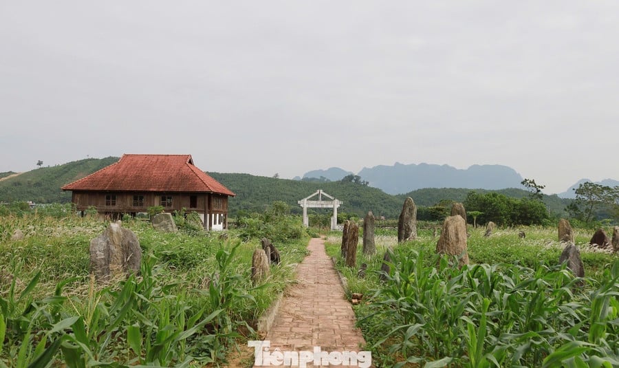 ທ່ານນາງ ດ້ຽນເຍີນ ໃຫ້ຮູ້ວ່າ, ຕາມບັນດາຜູ້ເຖົ້າແກ່ ແລະ ເອກະສານບູຮານແລ້ວ, ຄອບຄົວດ້ຽນເຍີນມີຄຸນງາມຄວາມດີໃນການສ້າງຕັ້ງ ແລະ ປົກຄອງເຂດມູ້ງດົງທີ່ກວ້າງຂວາງ. ຜູ້ກໍ່ຕັ້ງຄອບຄົວແມ່ນທ່ານ Dinh Nhu Lenh, ແຕ່ຜູ້ທີ່ນຳຊື່ສຽງຂອງຄອບຄົວຂຶ້ນສູ່ລະດັບສູງສຸດແມ່ນທ່ານ Dinh Cong Ky. tp-5.jpg