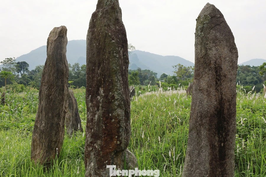 ອຳນາດການປົກຄອງຕາແສງ Kim Boi ໄດ້ກຳນົດເຂດ ດົ່ງເຕິ໋ກ ແມ່ນມໍລະດົກບູຮານຄະດີອັນລ້ຳຄ່າ, ໄດ້ສະແດງໃຫ້ເຫັນບັນດາພະຍານຫຼັກຖານວິທະຍາສາດທີ່ລ້ຳຄ່າກ່ຽວກັບຊີວິດວັດທະນະທຳ, ຄວາມເຊື່ອຖື, ຮີດຄອງປະເພນີຂອງຊາວເຜົ່າມົ້ງ, ພິເສດແມ່ນບັນດາຊົນເຜົ່າໄຕ. tp-17.jpg